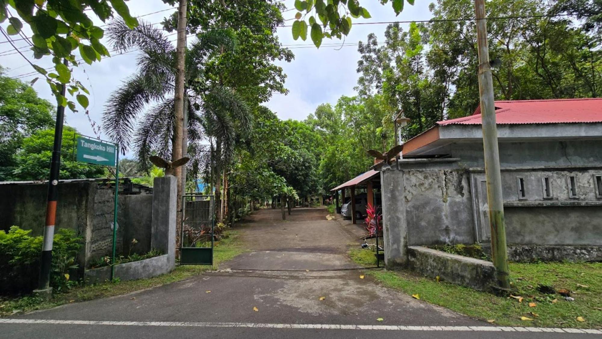 Tangkoko Macaca Hotel Rinondoran ภายนอก รูปภาพ