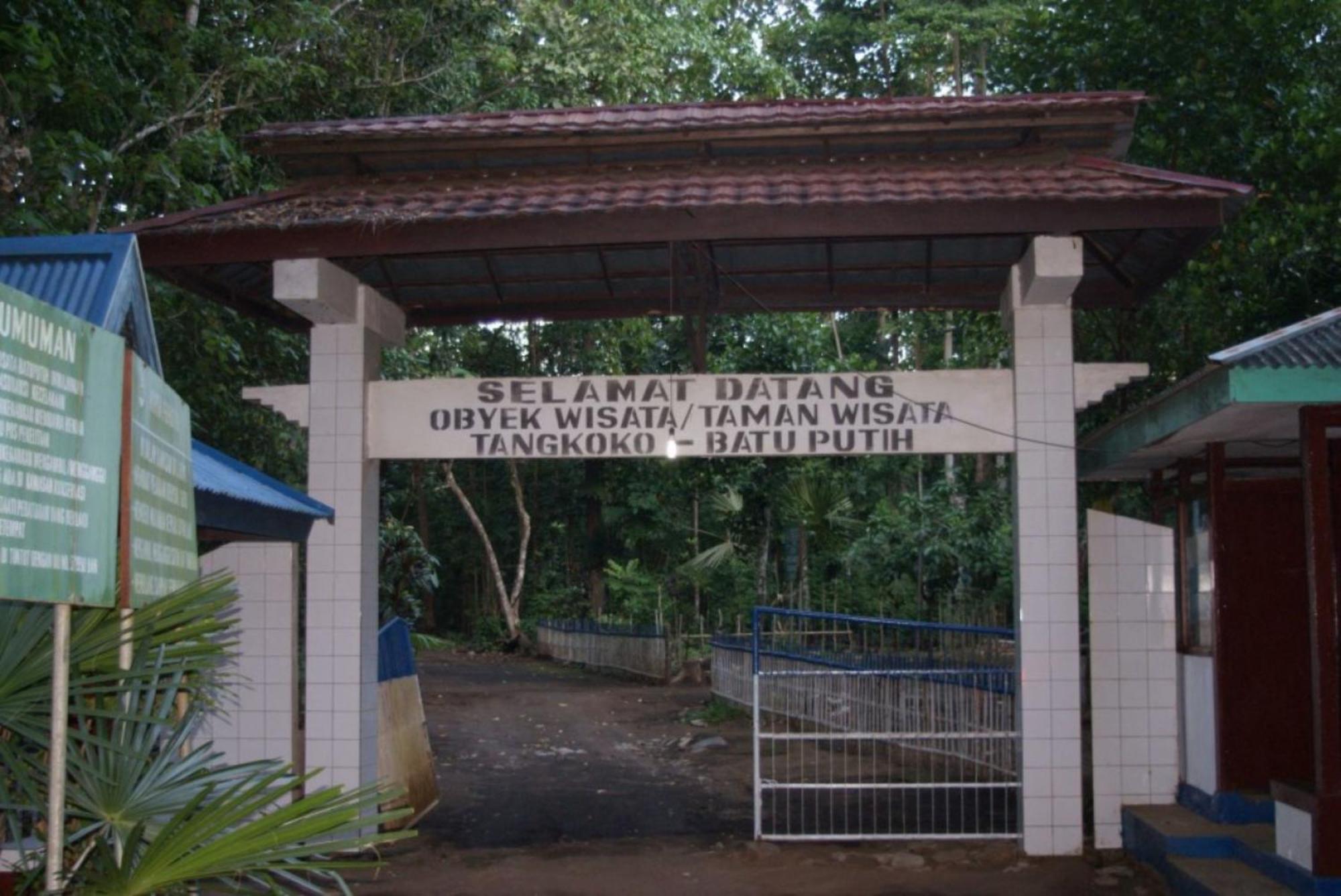Tangkoko Macaca Hotel Rinondoran ภายนอก รูปภาพ